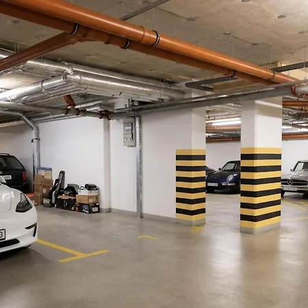 Luxury Two-bedroom With Private Garage Apartment *